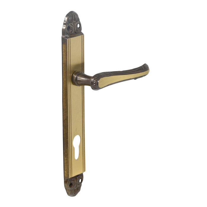 Antique door handle on back plate - 85mm cylinder cut out