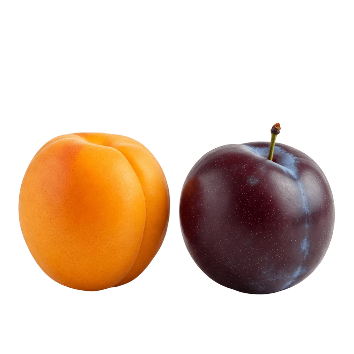 Apricot Plum White Balsamic Vinegar - Tubac Gourmet Foods