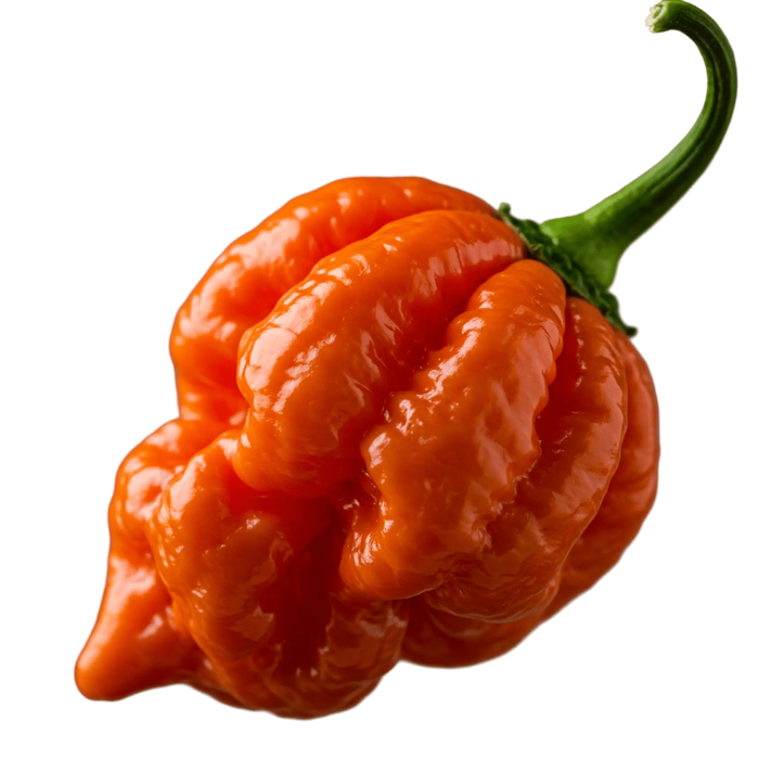 Ghost Pepper Olive Oil - Tubac Gourmet Foods