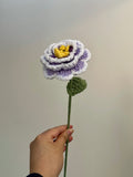 Crochet Peonies (Handmade Multi-coloured flowers)