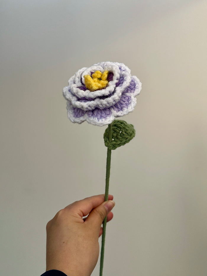 Crochet Peonies (Handmade Multi-coloured flowers)