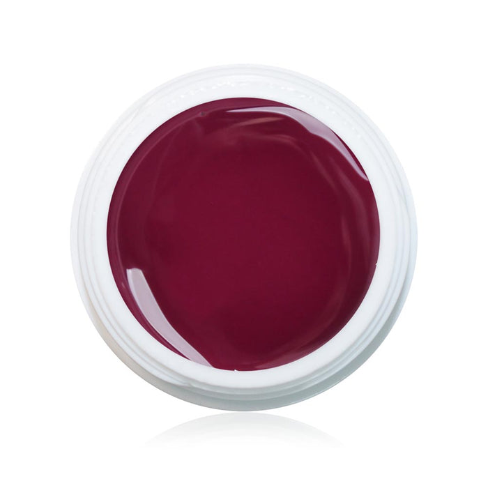 Farbgel Berry 5ml Premium*