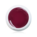 Farbgel Berry 5ml Premium*