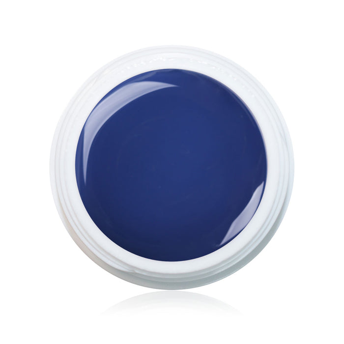 Farbgel Blueberry 5ml Premium*