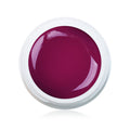 Farbgel Lipstick 5ml Premium*