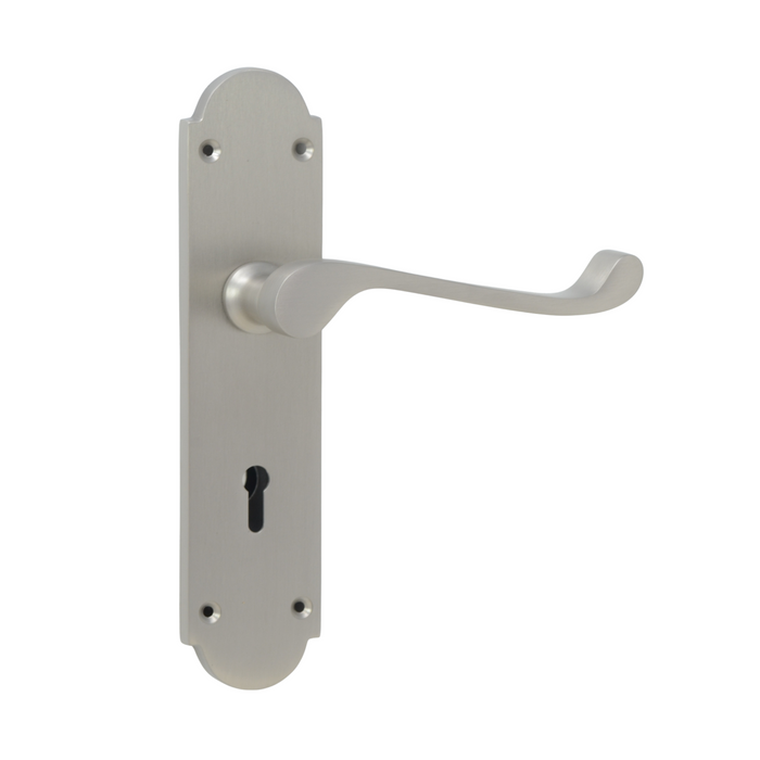 Large Silver Victorian lever handle on backplate 195mm