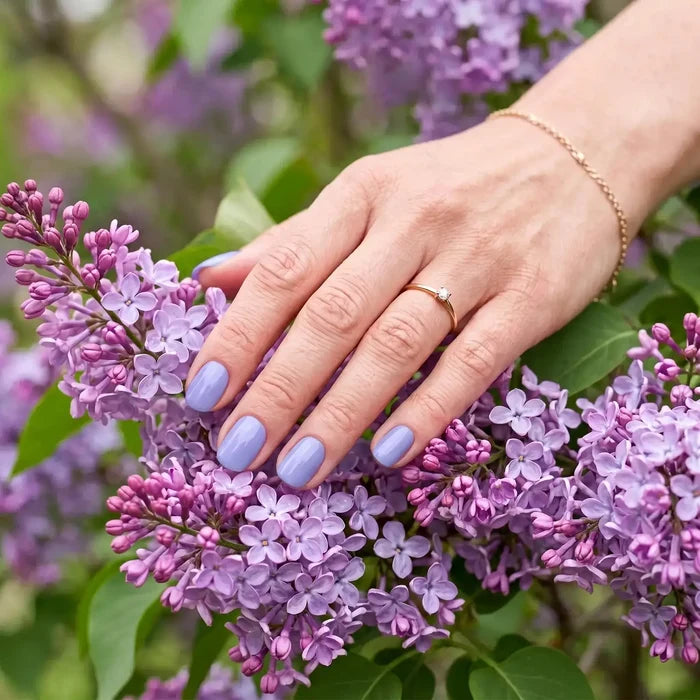 Shellac · Butterfly 10ml