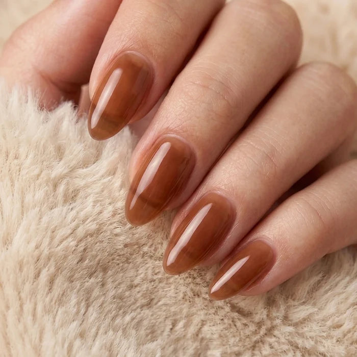 Shellac · Clear Teddy 10ml