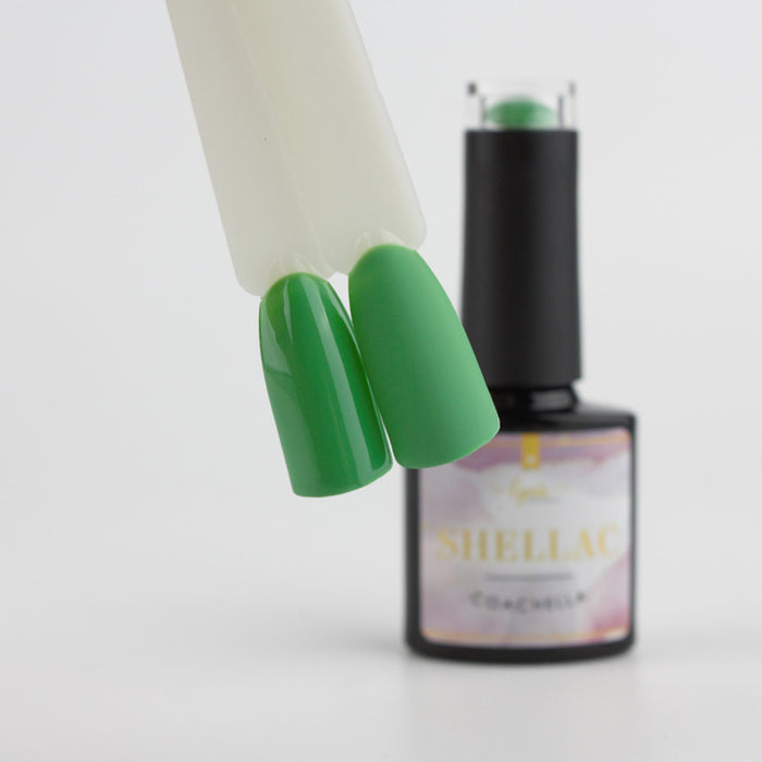 Shellac · Coachella 7,3ml