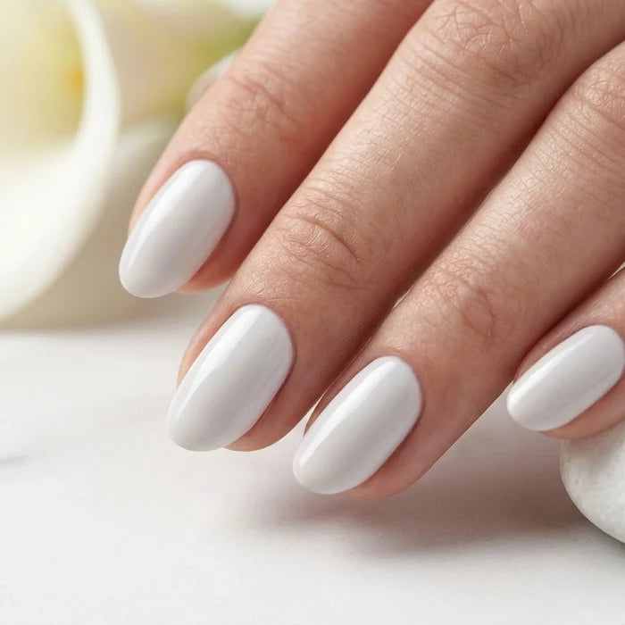 Shellac · White 10ml