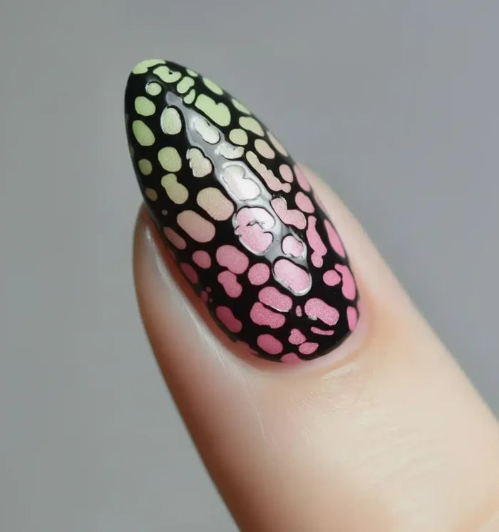 Slimak Gel Black 5ml