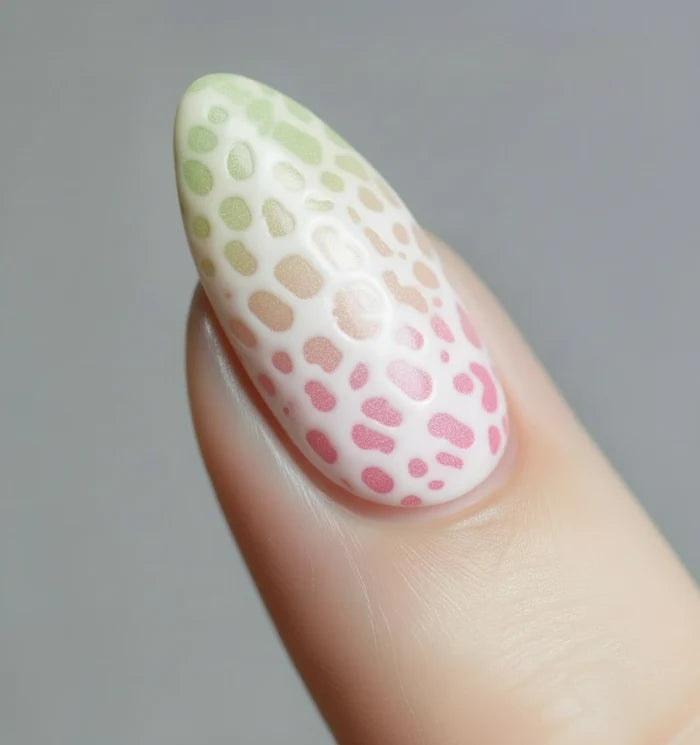 Slimak Gel Set