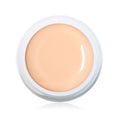 Sugar Pastell Orange · Farbgel 5ml*